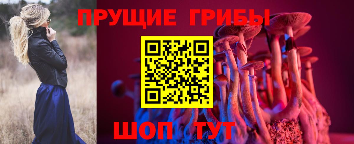 купить наркотики цена  Псилоцибиновые грибы ЛСД  Вход с VPN  Нефтекумск 