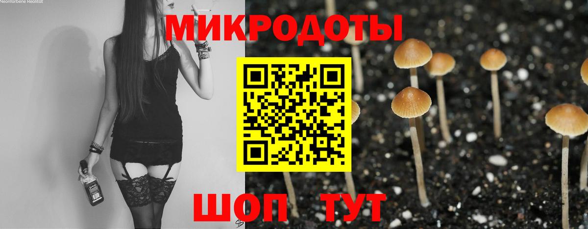 Галлюциногенные грибы Psilocybine cubensis Нефтекумск